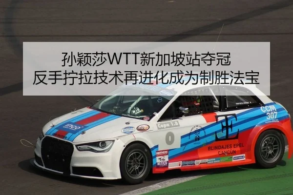 sun-ying-sha-xin-jia-po-zhan-duo-guan-fan-shou-ning-la-ji-shu-zai-jin-hua-cheng-wei-zhi-sheng-fa-bao-2-746.jpg